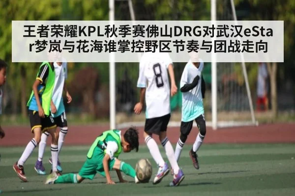 王者荣耀KPL秋季赛佛山DRG对武汉eStar梦岚与花海谁掌控野区节奏与团战走向